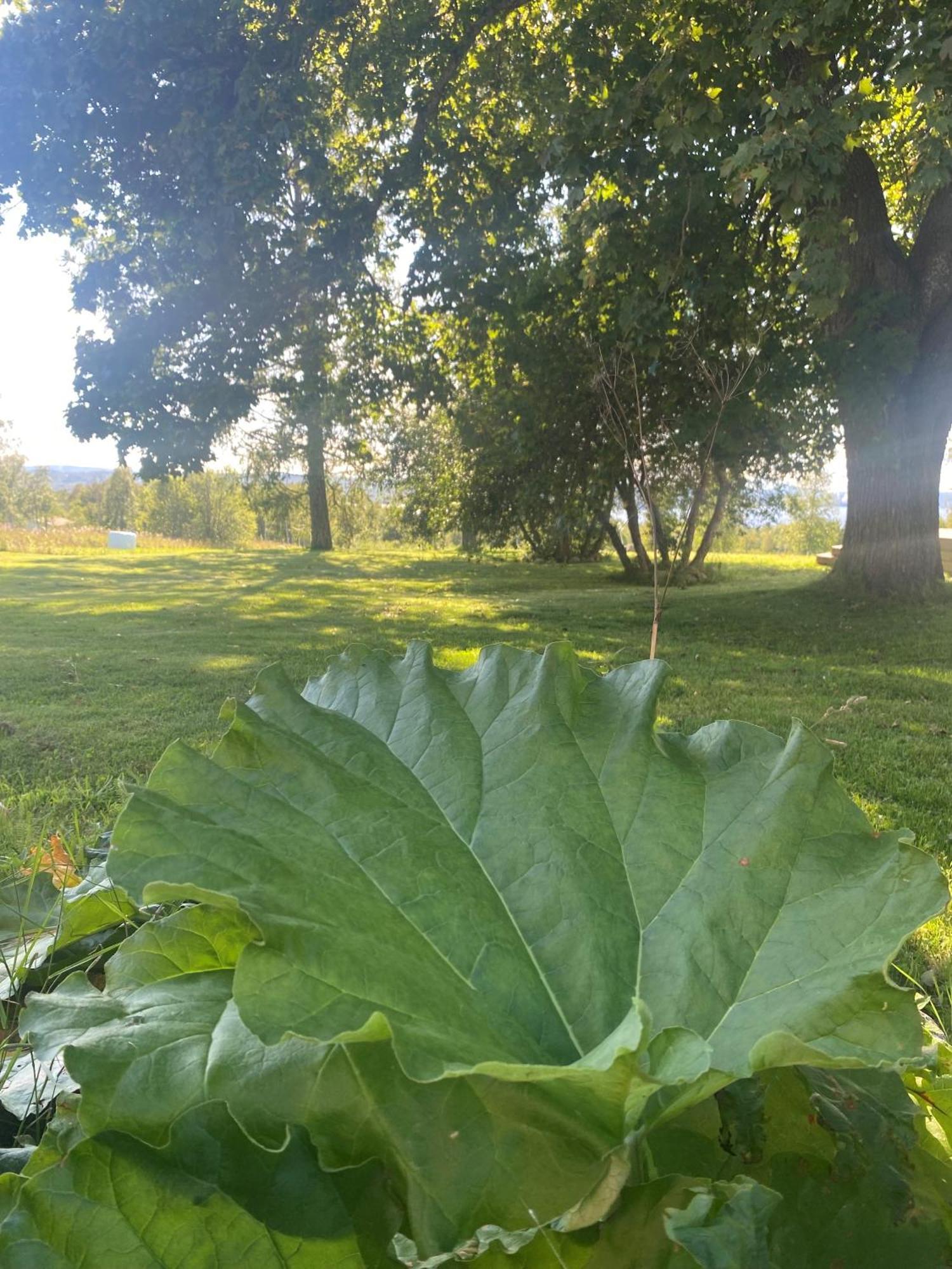 Villa Gasabaeck Soraker Bagian luar foto